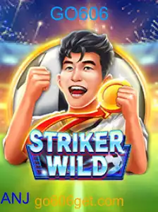 StrikerWILD